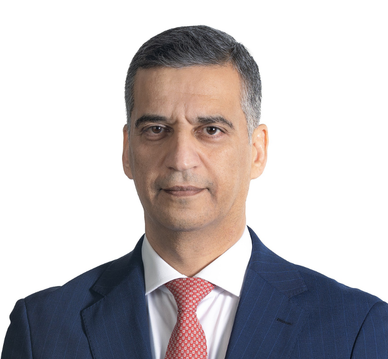 معالي السيد الدكتور/ علي محسن اسماعيل